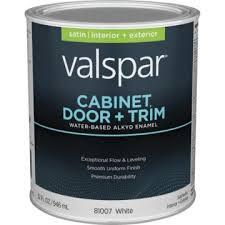 CABINET DOOR TRIM PAINT 1