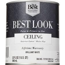 CEILING PAINT