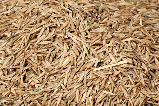 Grass seed