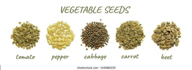 Vegetables seeds