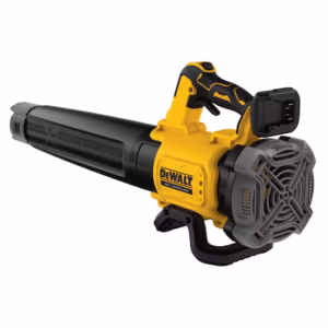 20v Blower Rare