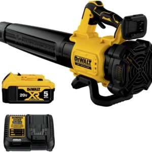 20v Blower Kit