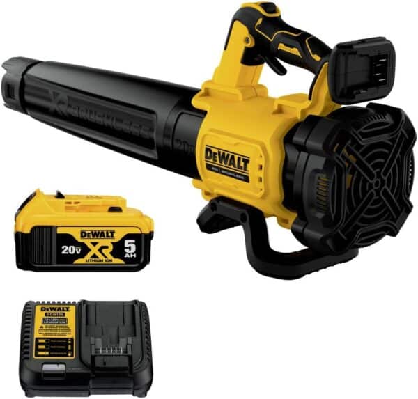 20v Blower Kit